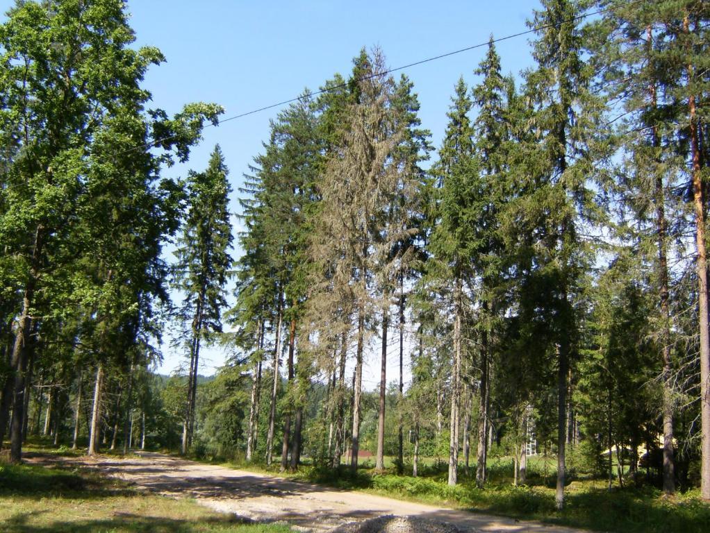 Kempings Ozolkalns Cēsis Exteriér fotografie