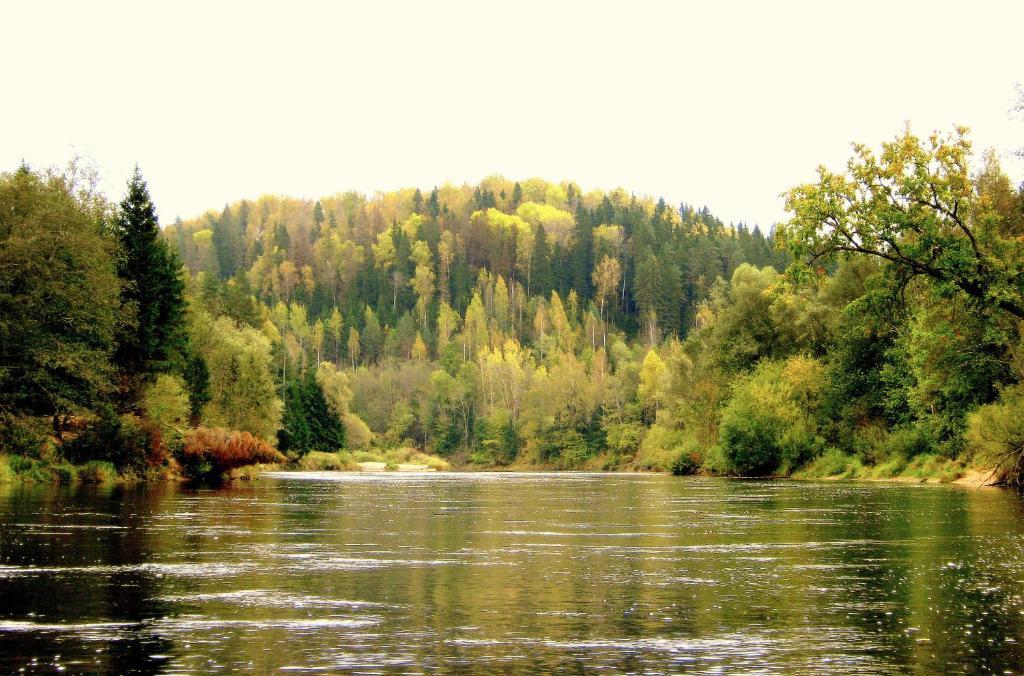 Kempings Ozolkalns Cēsis Exteriér fotografie