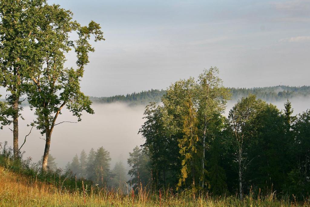 Kempings Ozolkalns Cēsis Exteriér fotografie