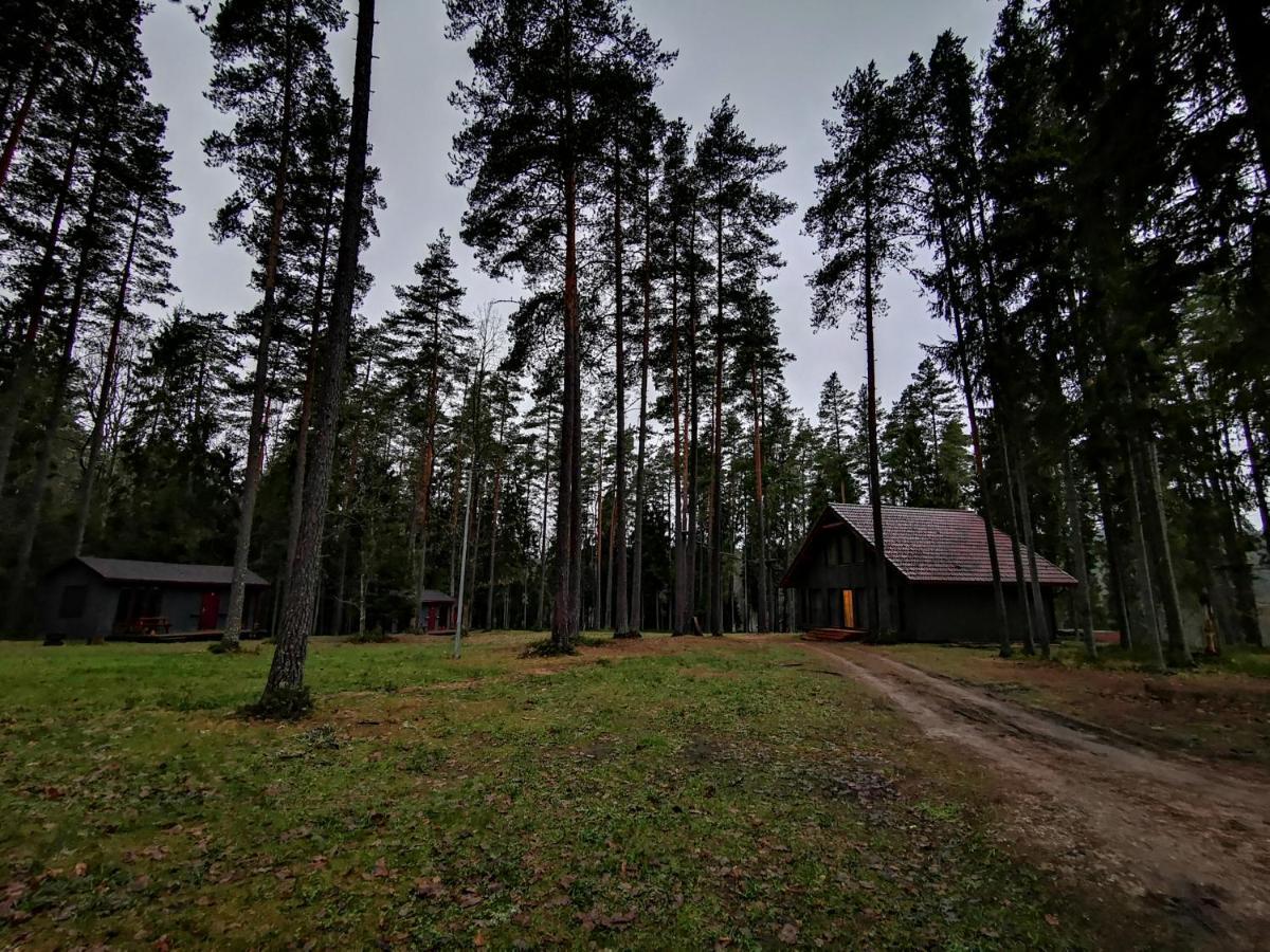 Kempings Ozolkalns Cēsis Exteriér fotografie